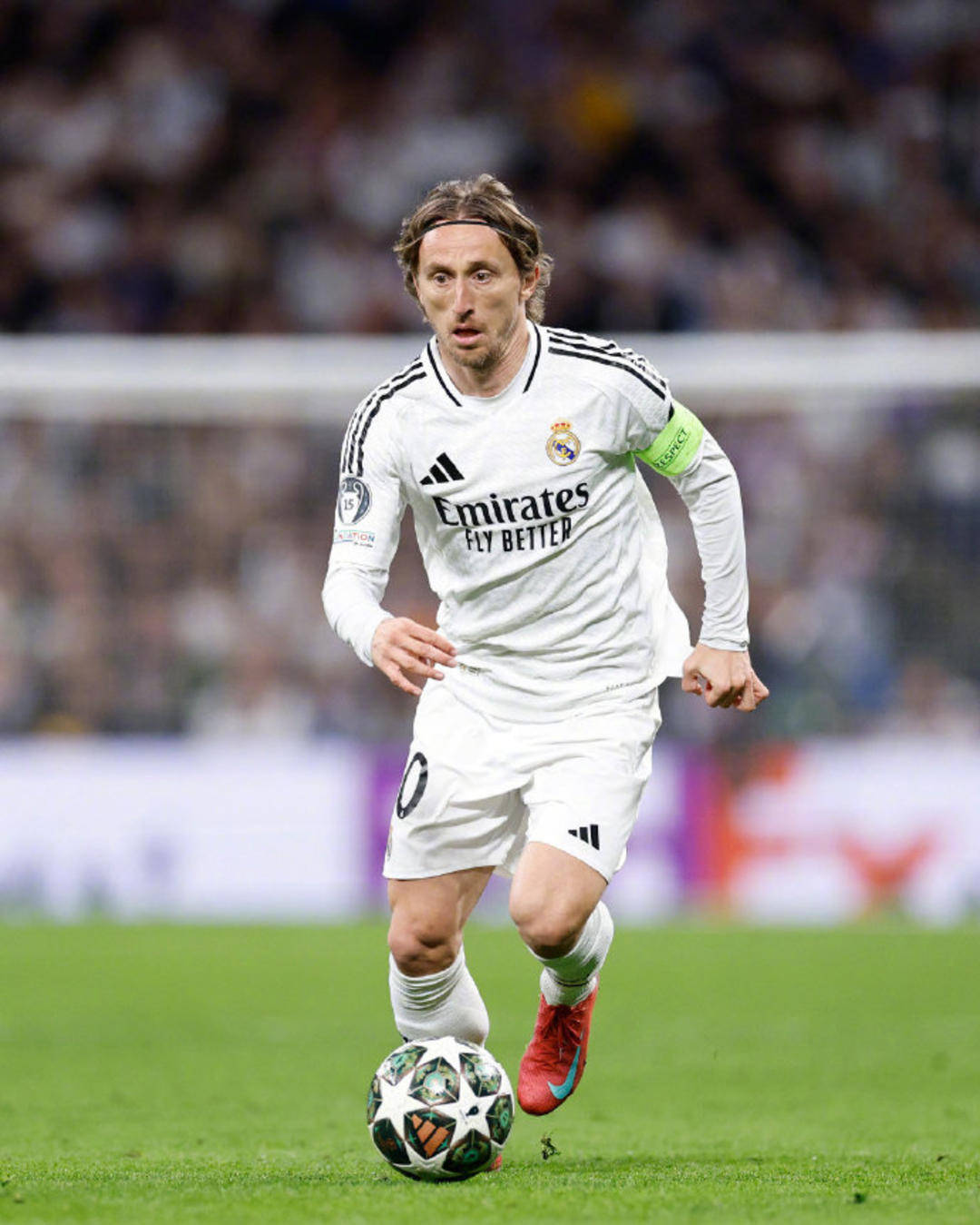 2016 强队陨落：旧金山巨人“偶数年神话”在季后赛被芝加哥小熊终结